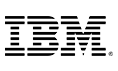 binarysemantics-ibm-logo